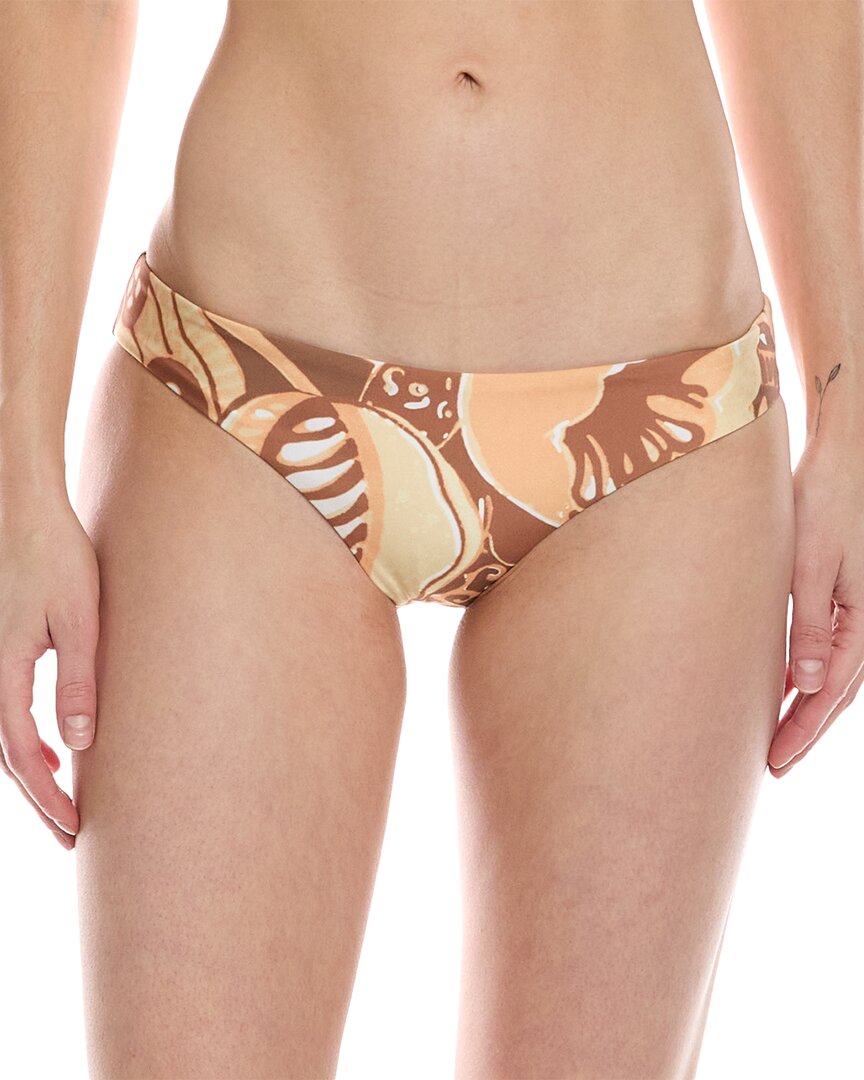 Zoa Bikini Bottom