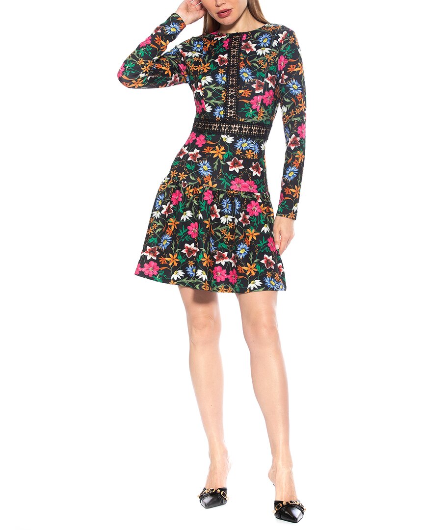 Alexa Fit and Flare Dress
