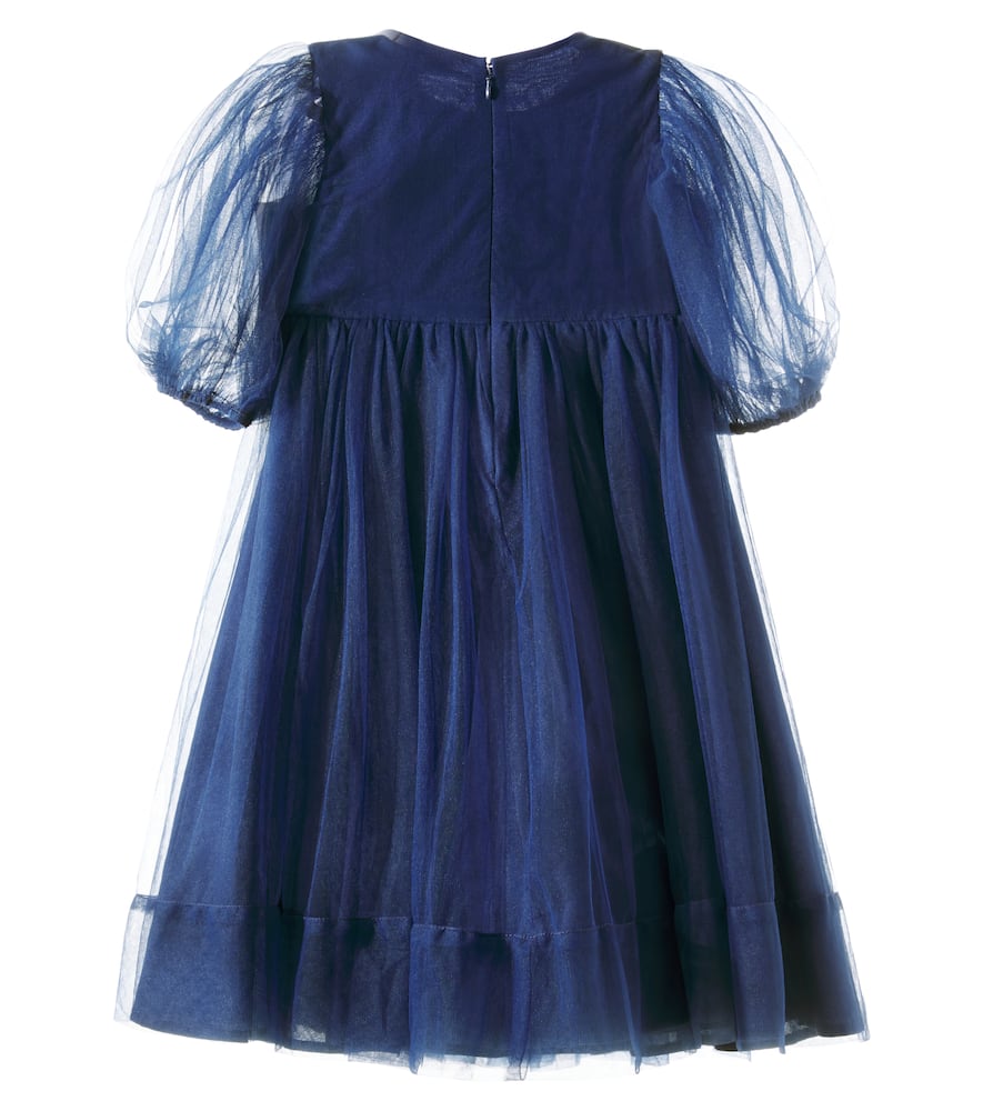 Starlight Serenade embellished tulle dress