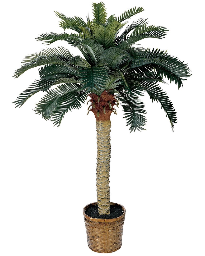4Ft Sago Silk Palm Tree