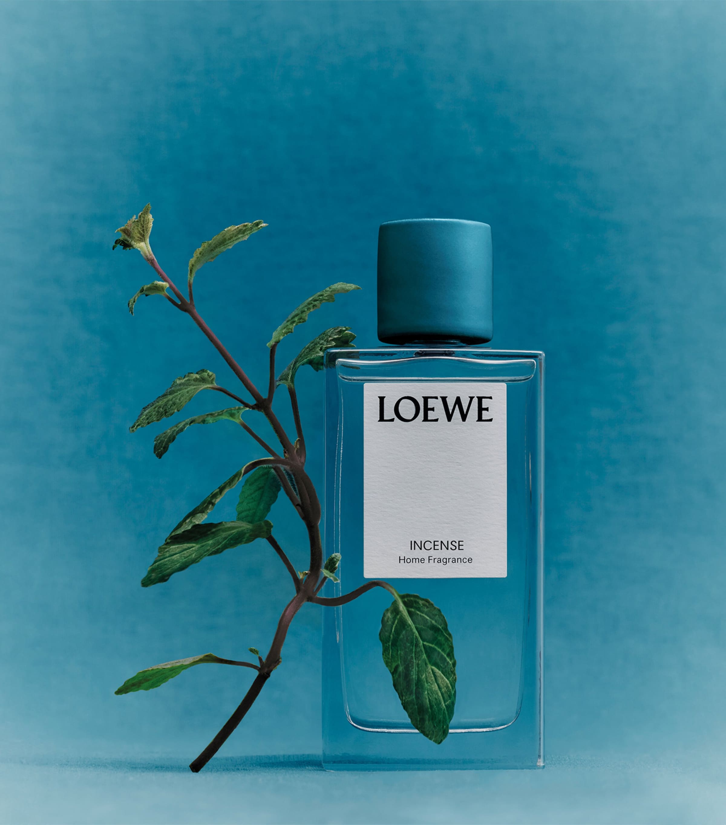 Loewe Incense Room Spray