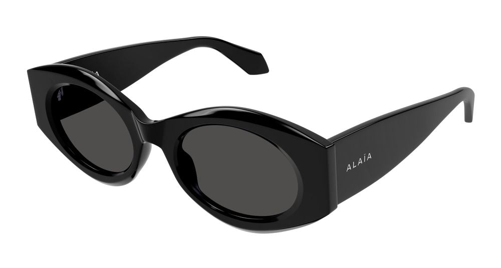 AA0080S Black Acetate Oval Sunglasses — Black