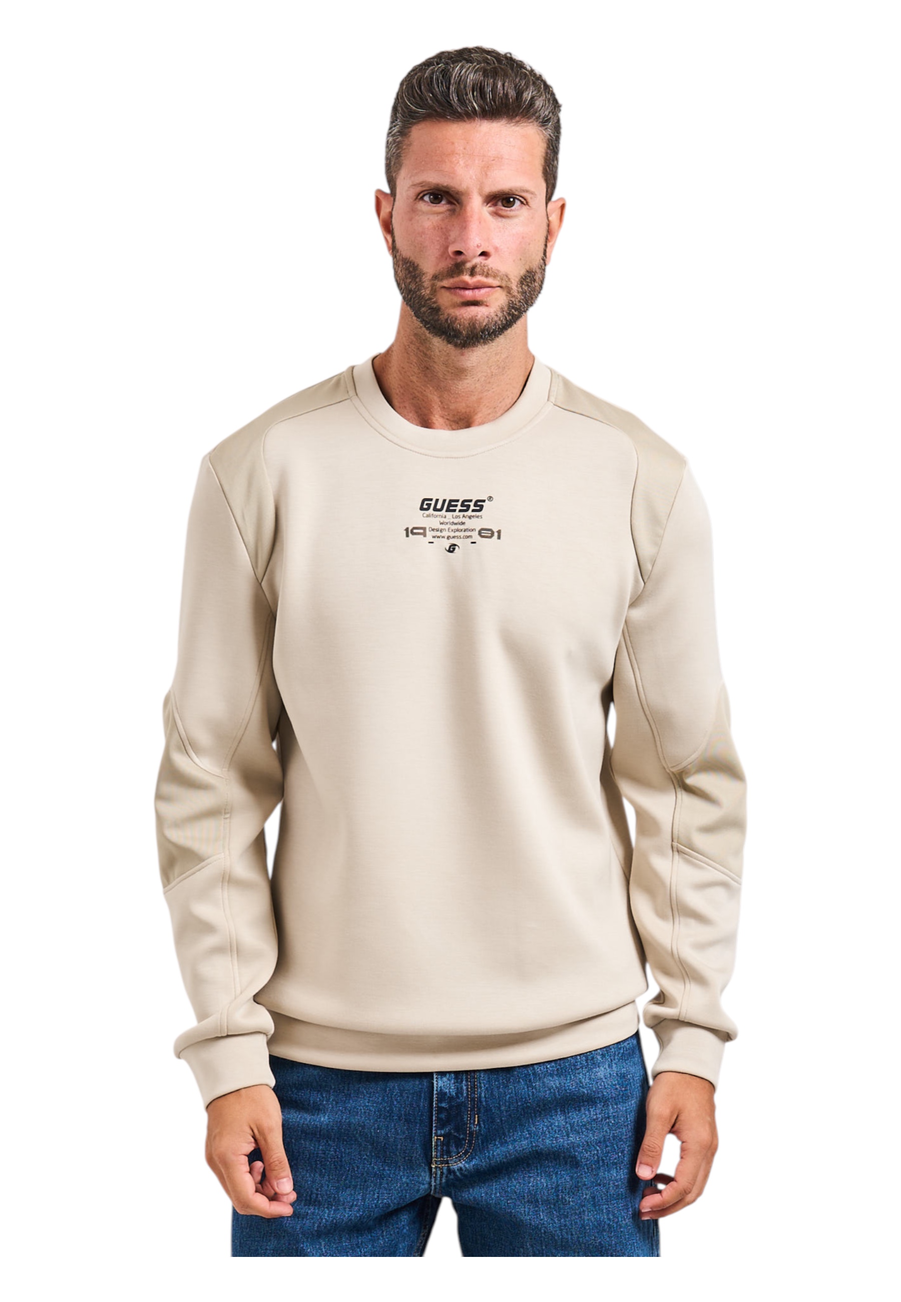 Regular Fit Men's sweatshirt 