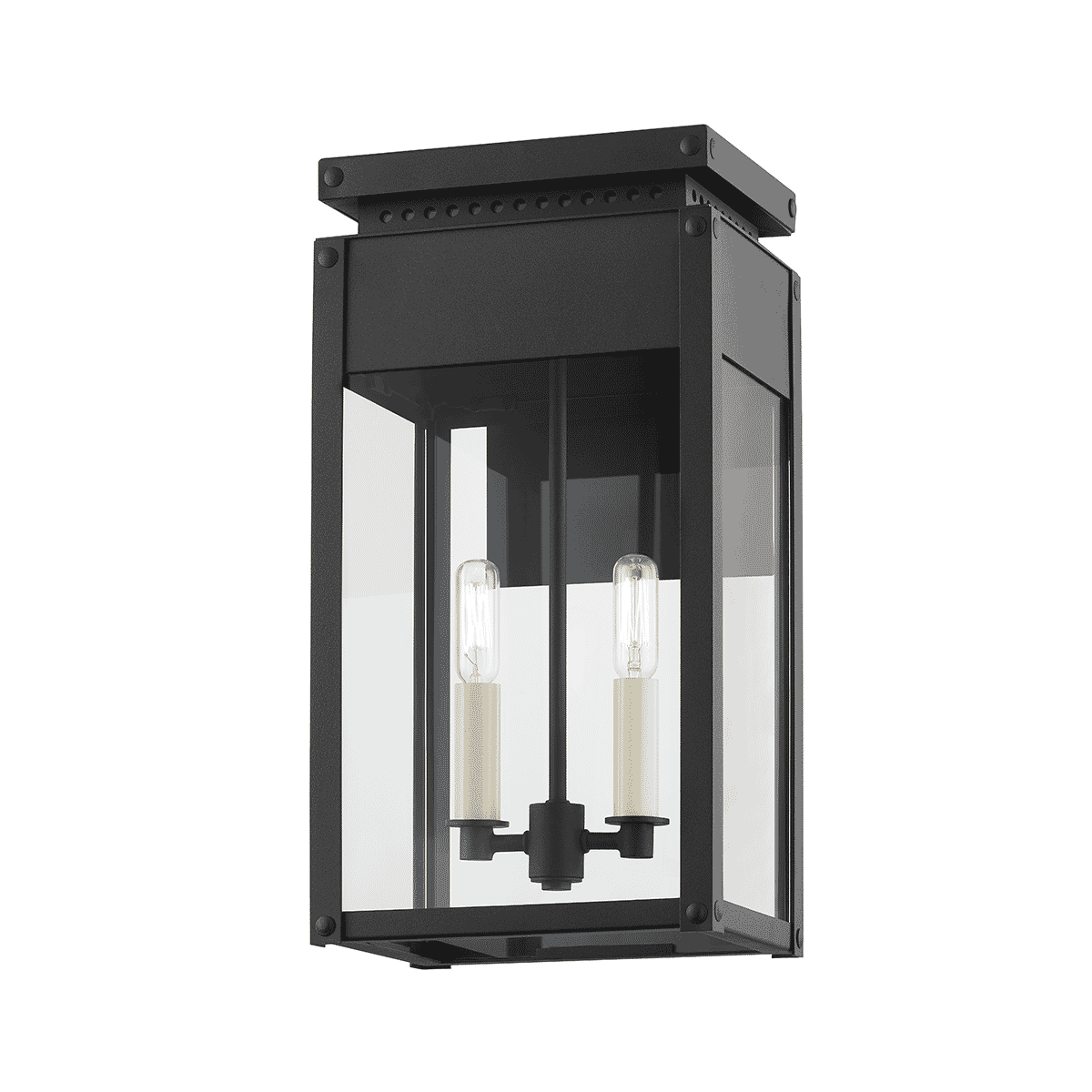 Textured Black Two Light Outdoor Wall Sconce from the Braydan Collection