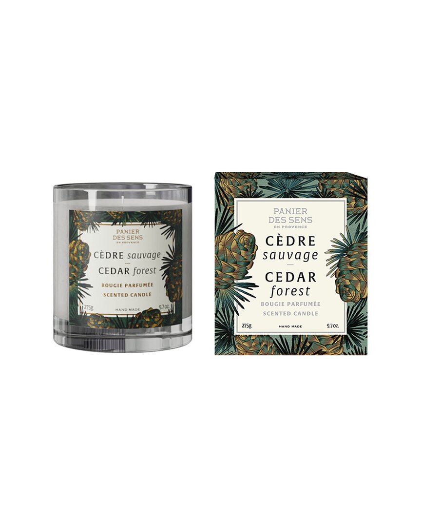 Cedar Forest Scented Candle 9.7oz