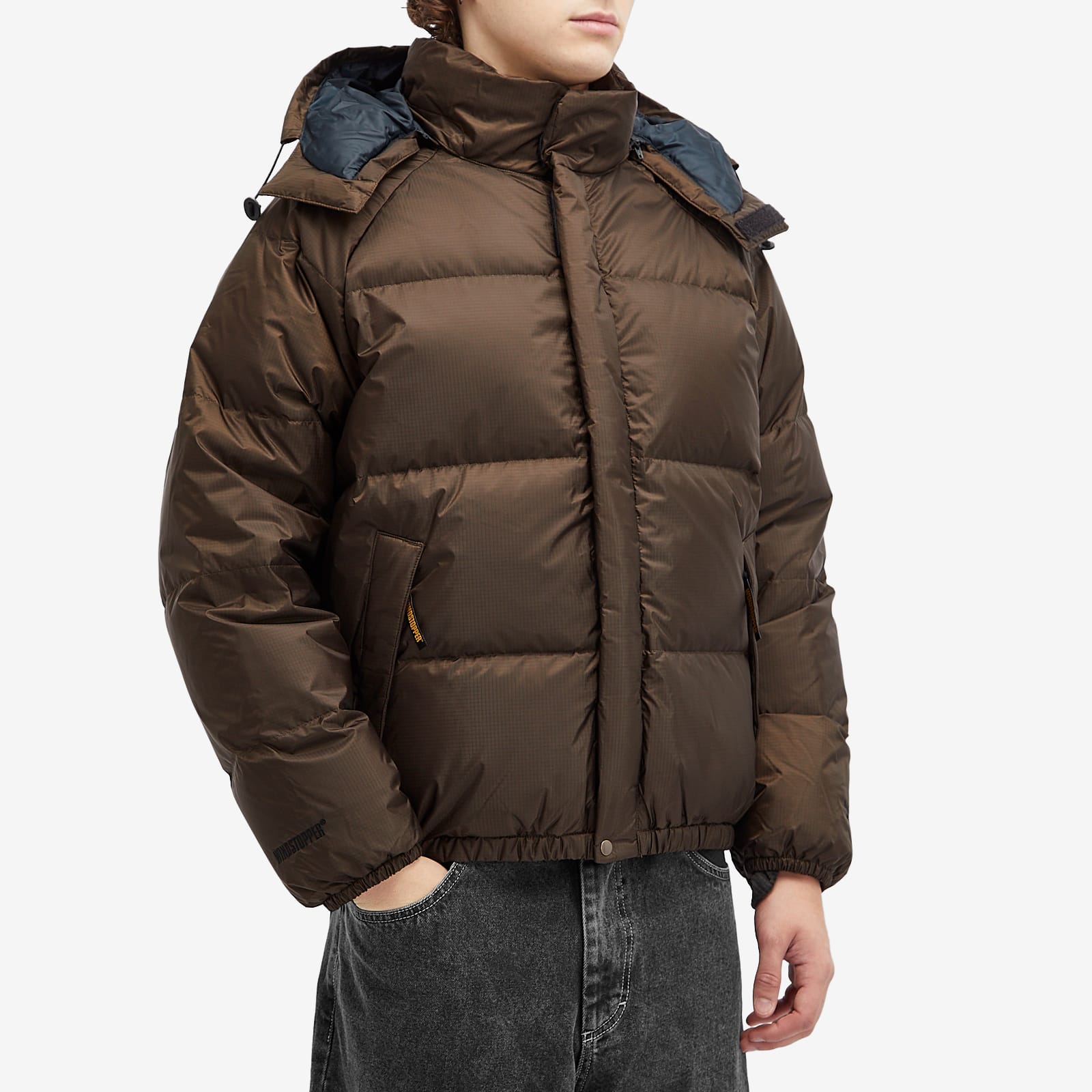 Men's x Gore-Tex Windstopper Down Puffer Jacket in Olive