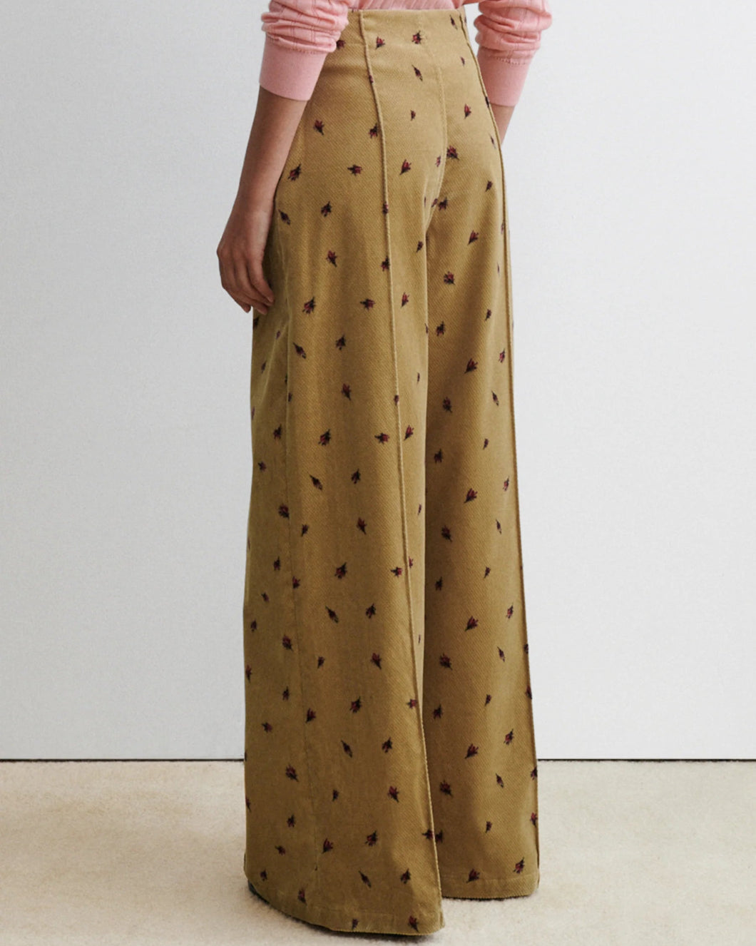 Barros Pant