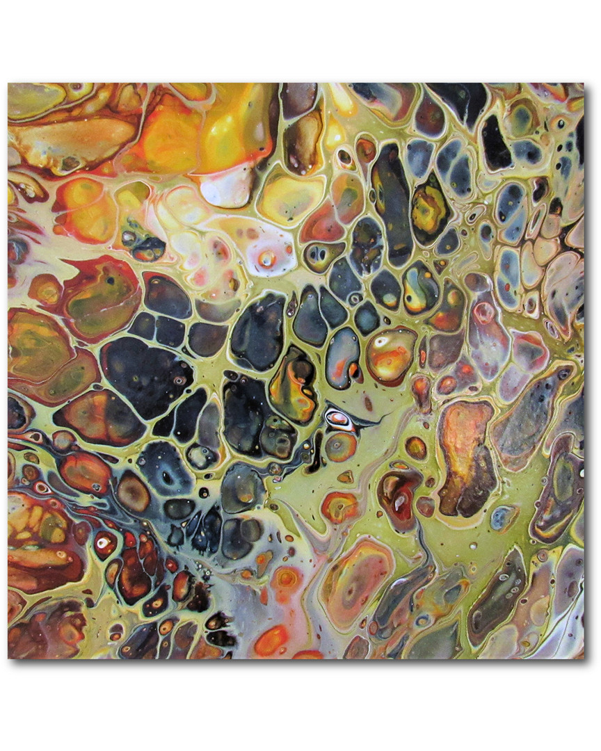 Honey & Gold Gallery-Wrapped Canvas Wall Art