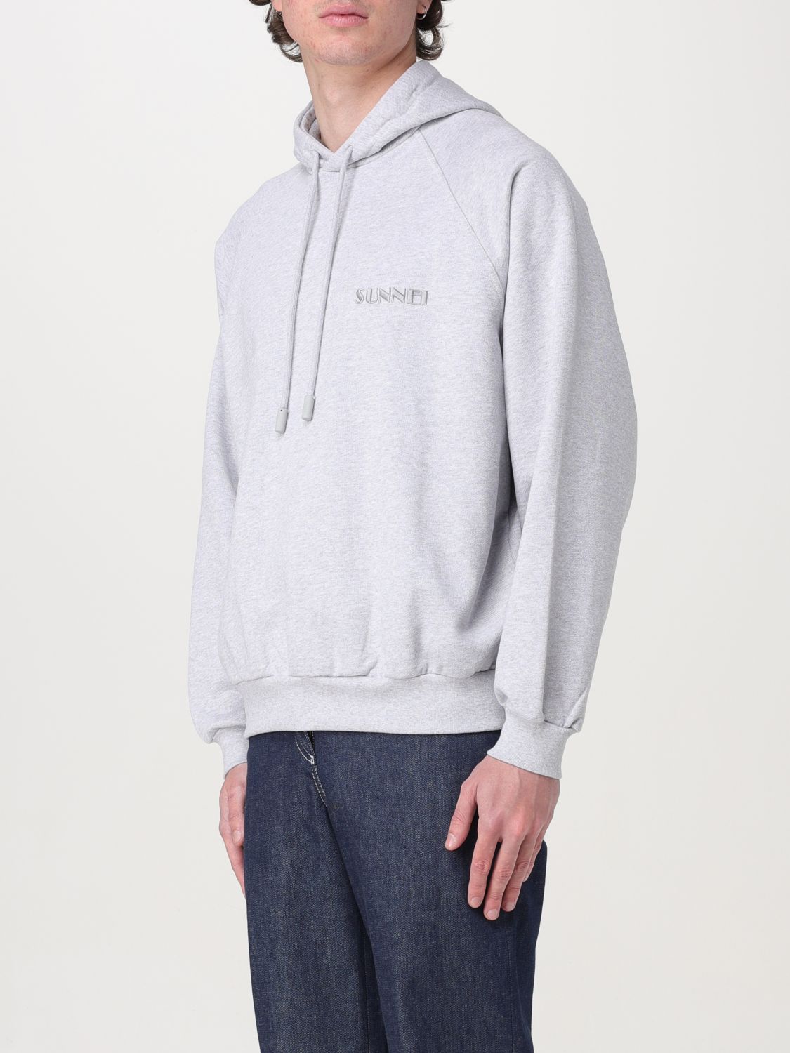 Sweatshirt Men color Grey