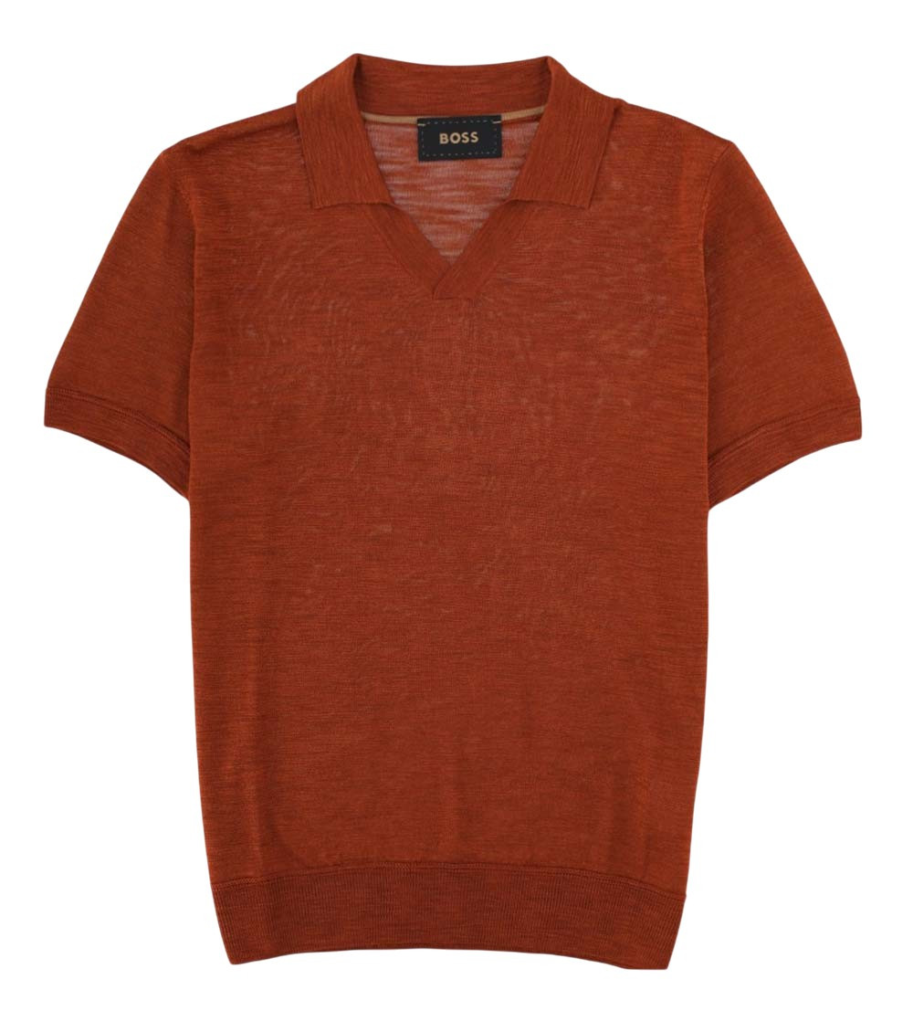 Brown Solid Shirt Collar Polo