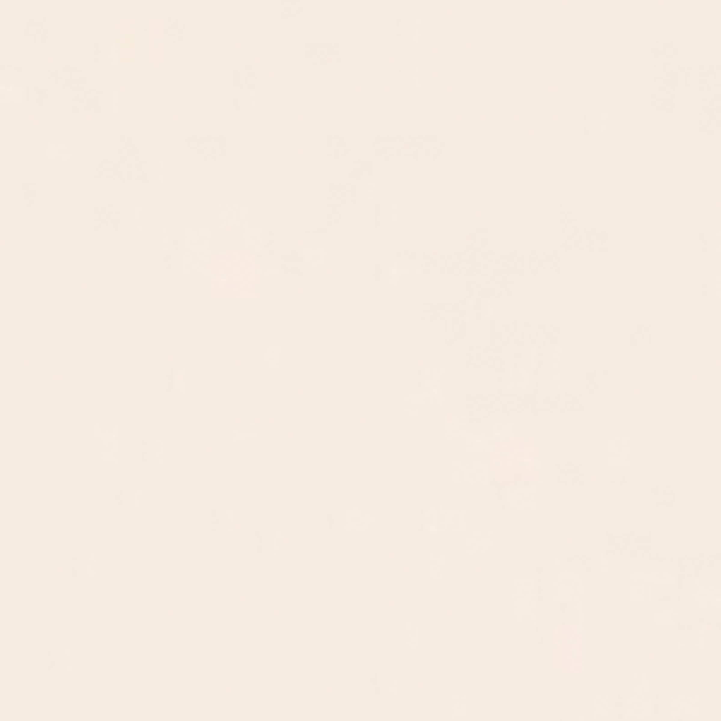 Forever Couture Skin Glow Cushion Foundation - Refill