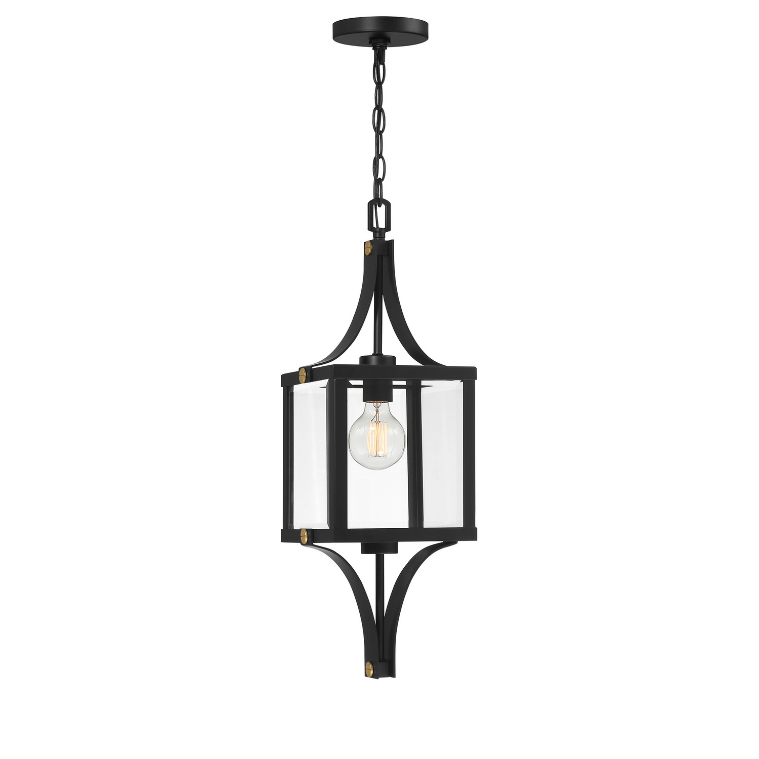 Raeburn 1-Light Outdoor Hanging Lantern in Matte Black and Weathered Brushed Bra