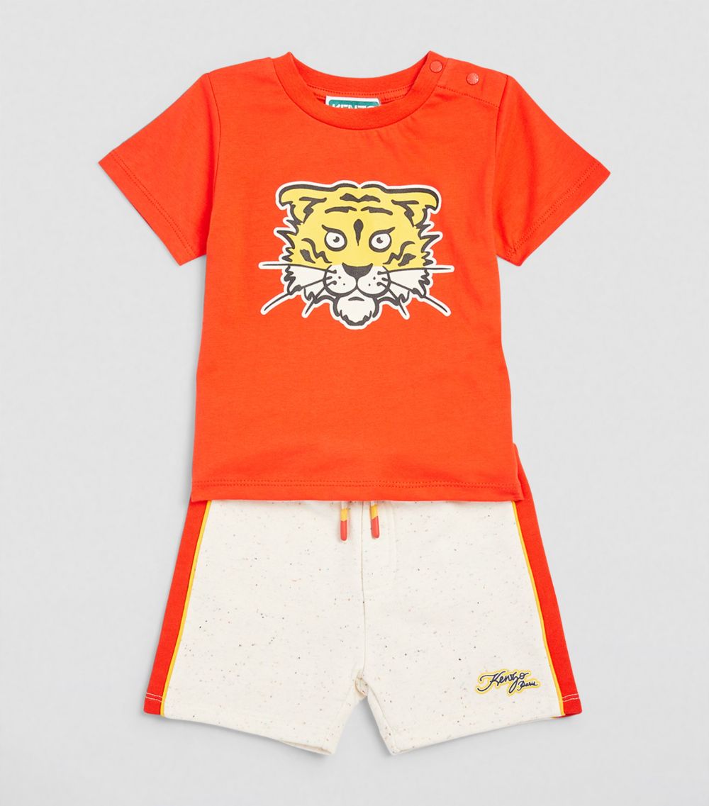 T-Shirt And Shorts Set (6-36 Months)
