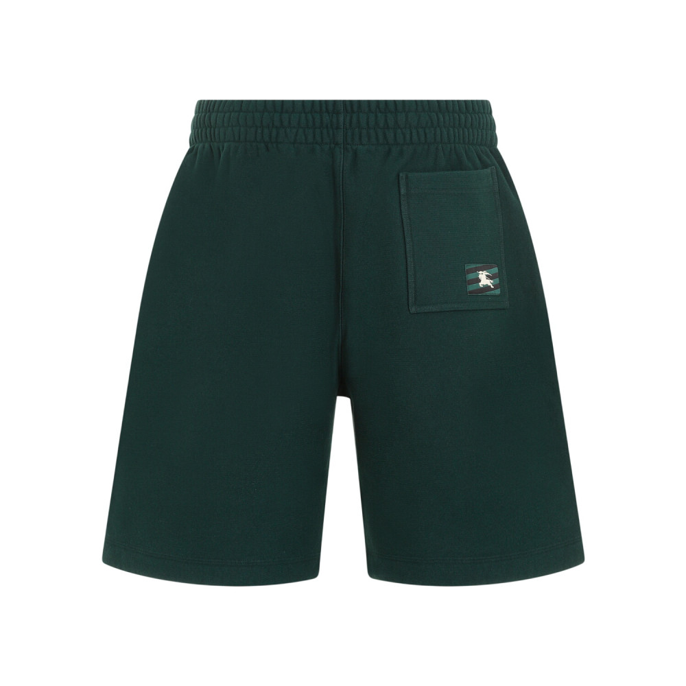 Green Relaxed Solid Shorts