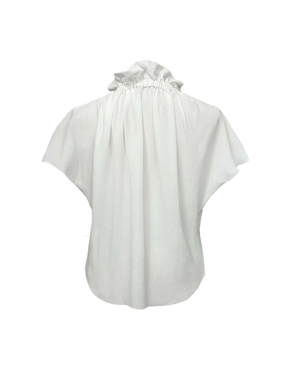 Ruff Blouse