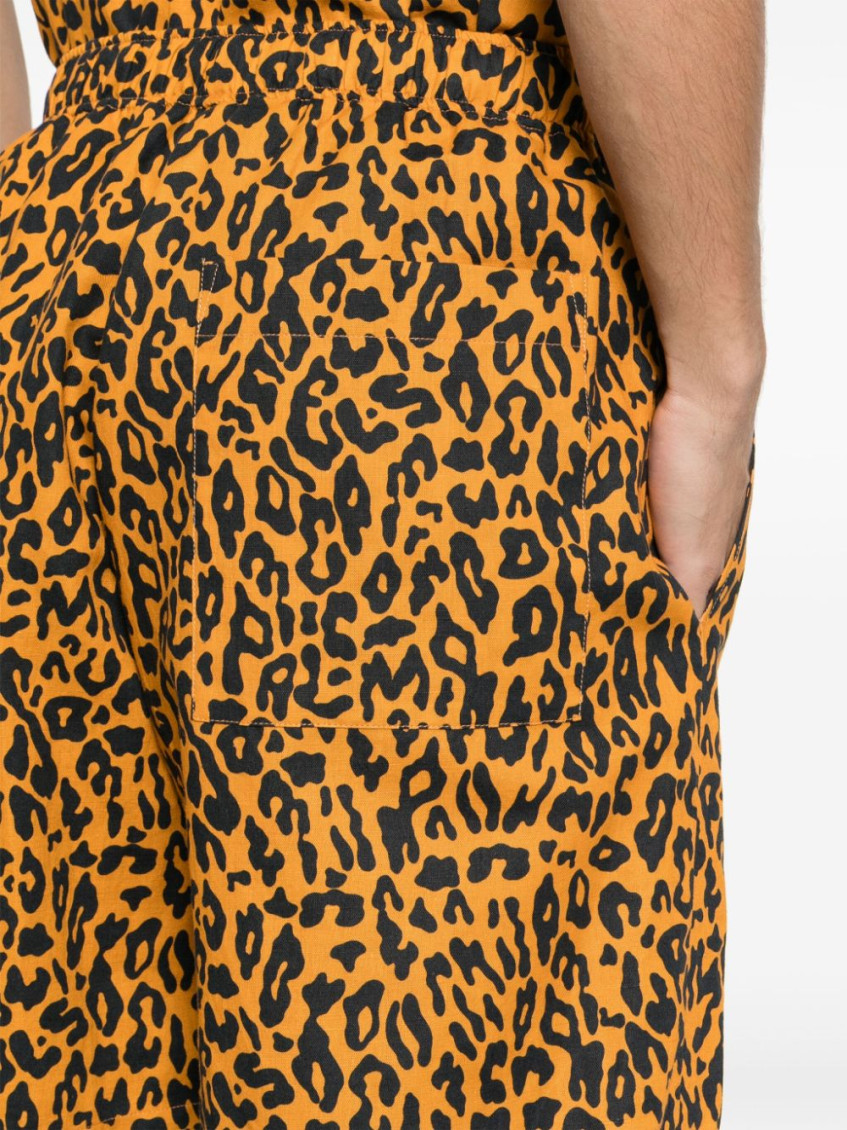 Leopard-print poplin shorts - Orange