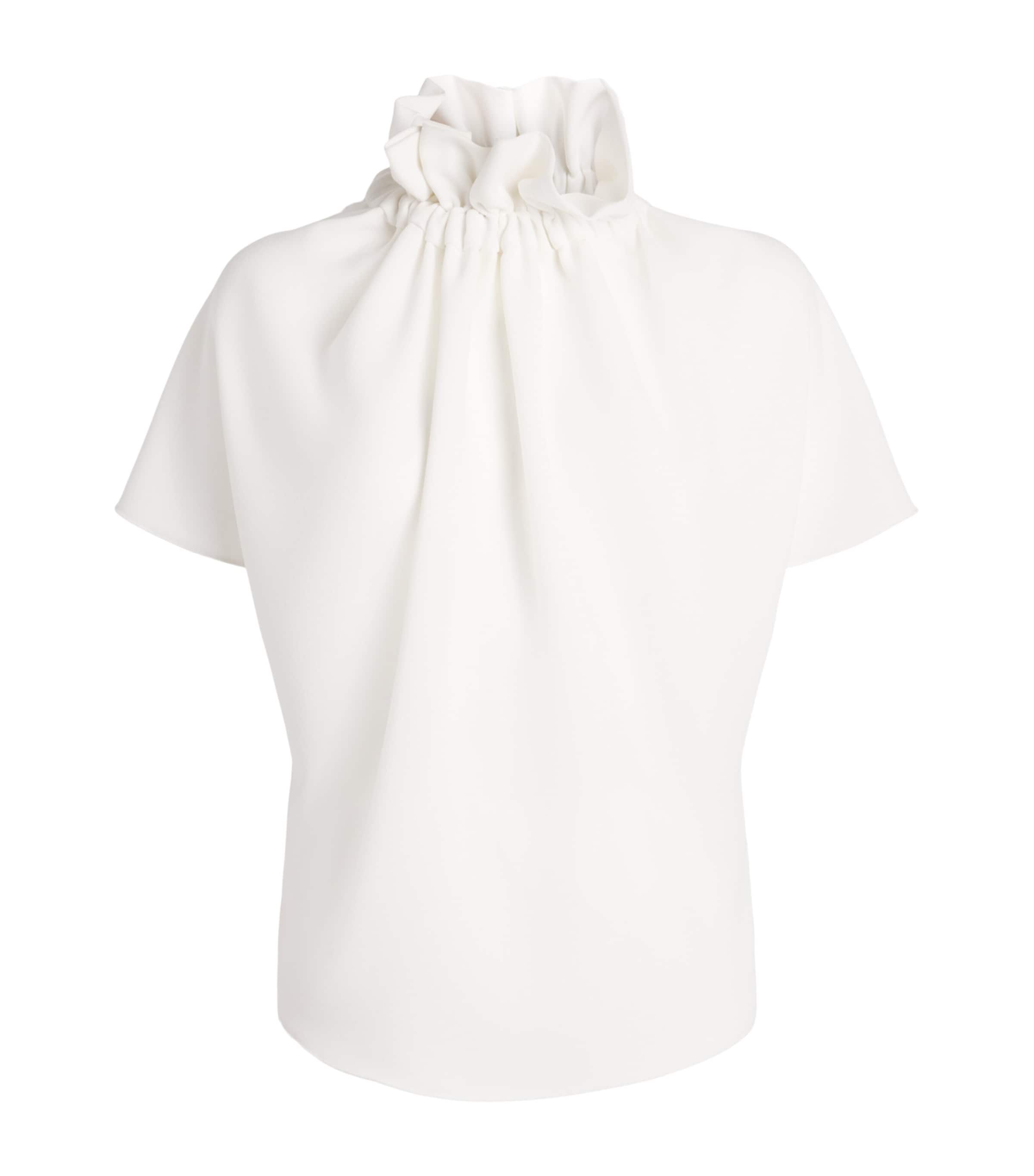 Ruff Blouse