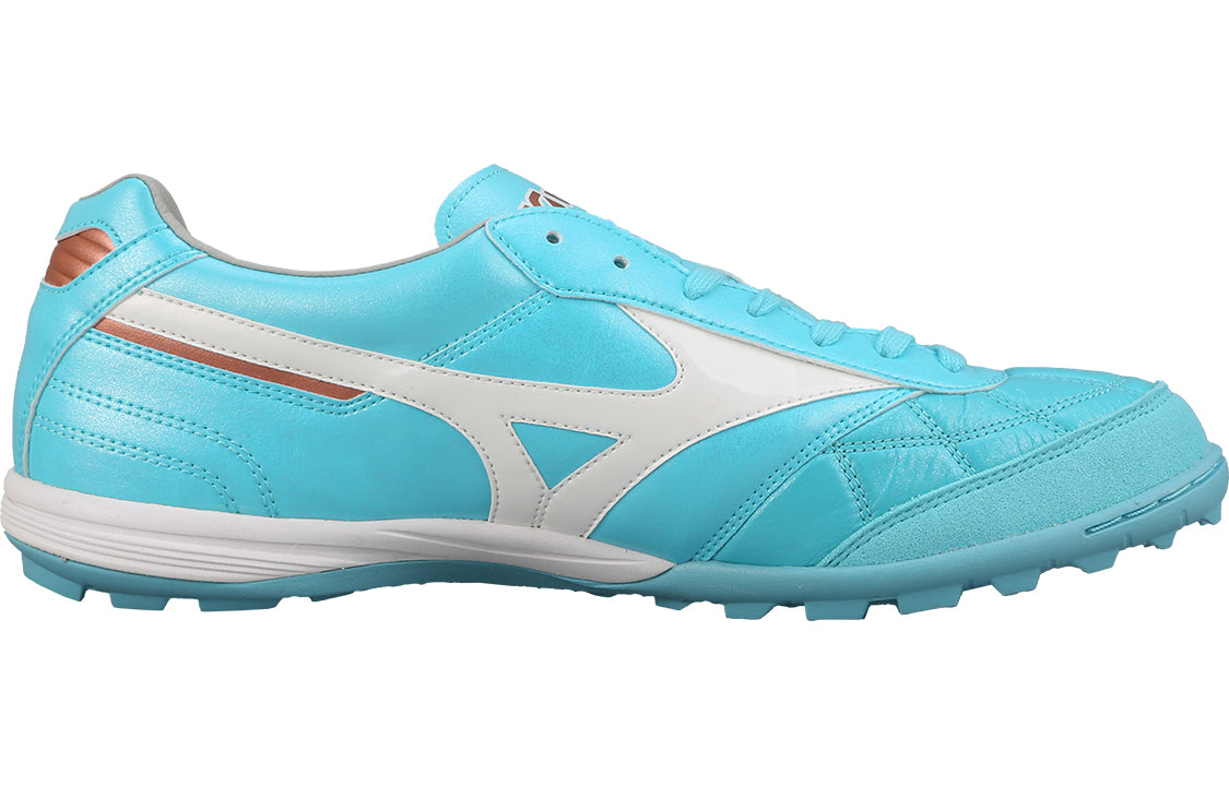 Morelia Sala Japan TF 'Blue White'