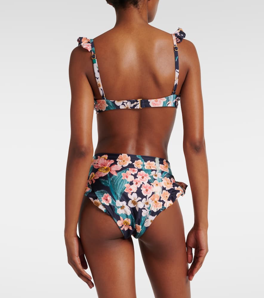 Jengibre Danza bikini bottoms