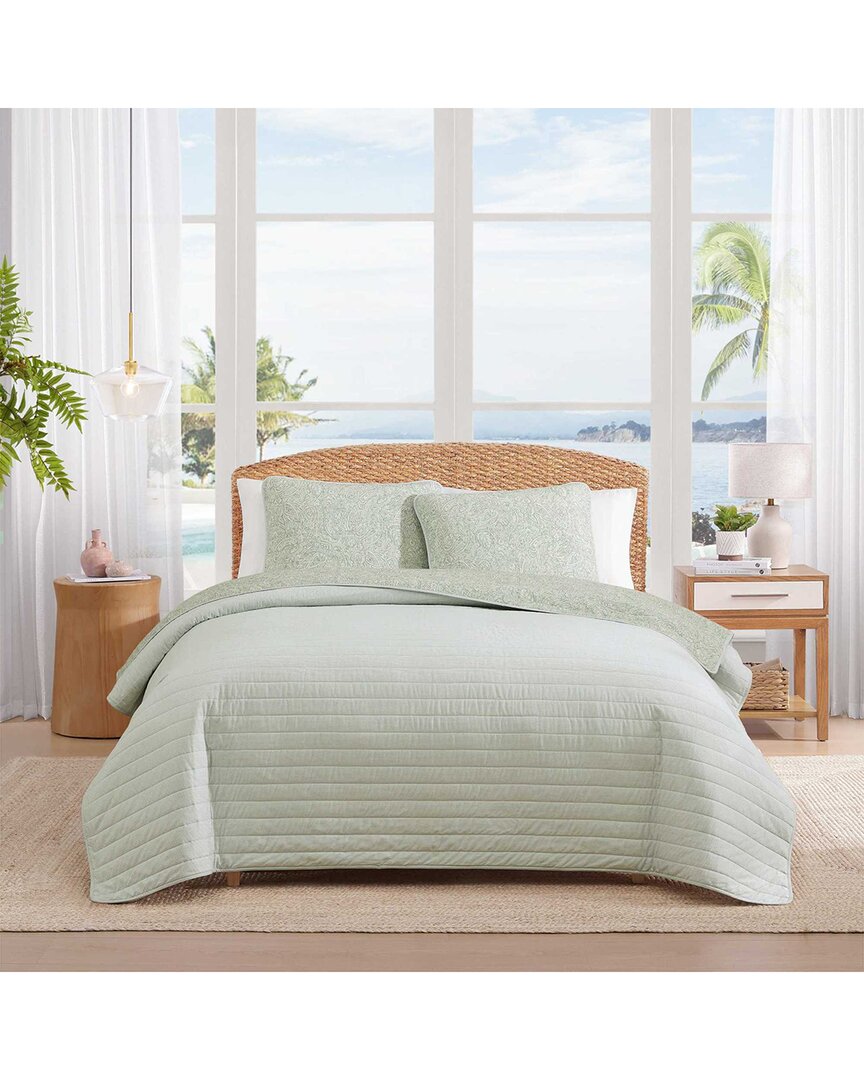 Caicos Isle Cotton Quilt Set
