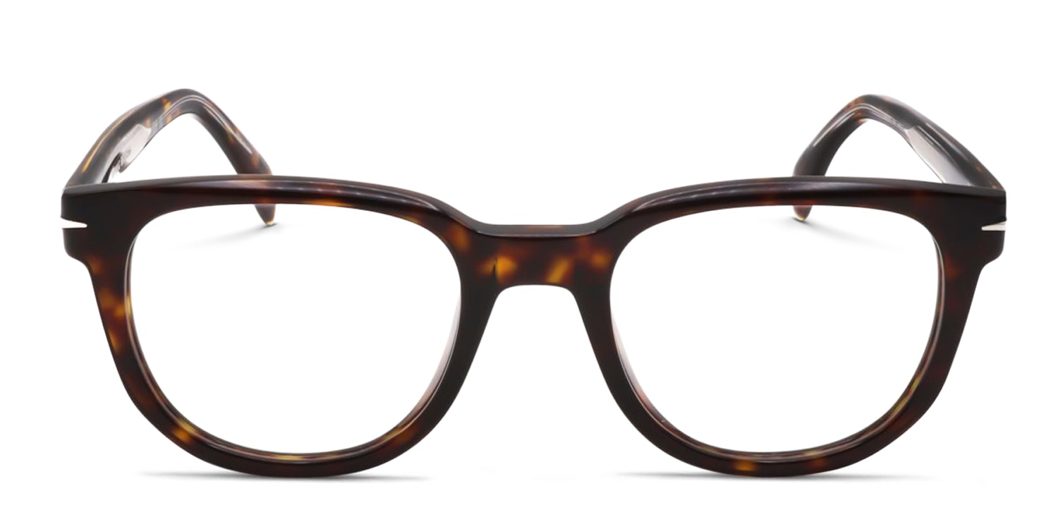 DB7097 Tortoise