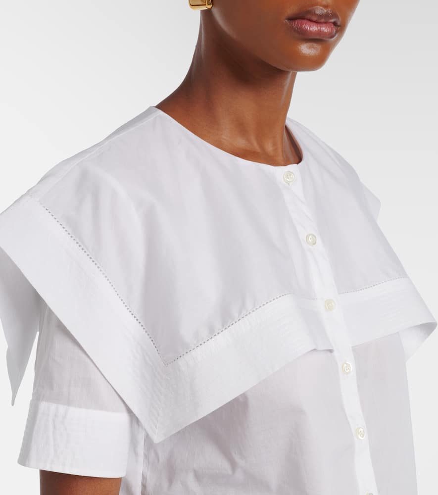 Cotton top