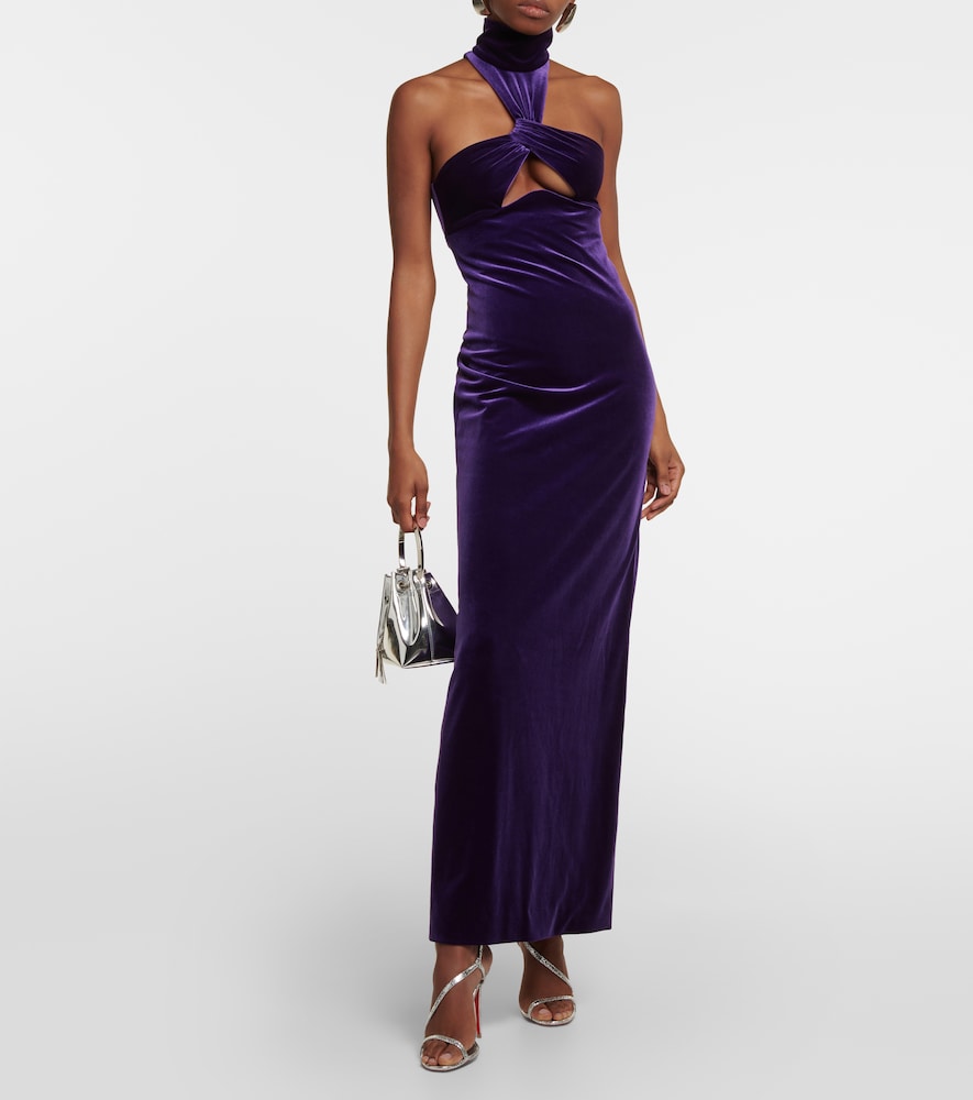 Cleveland velvet gown