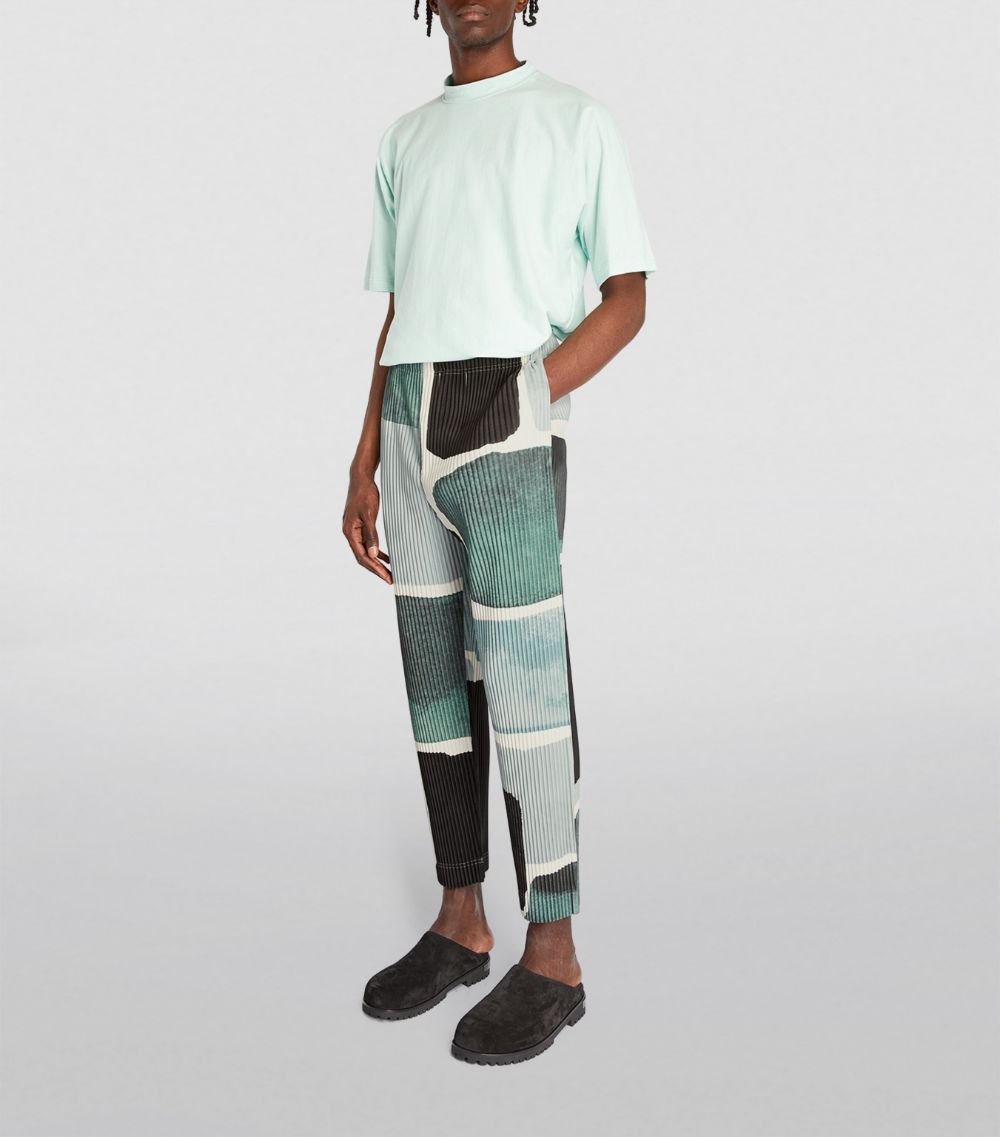 Landscape Print Pleated Trousers