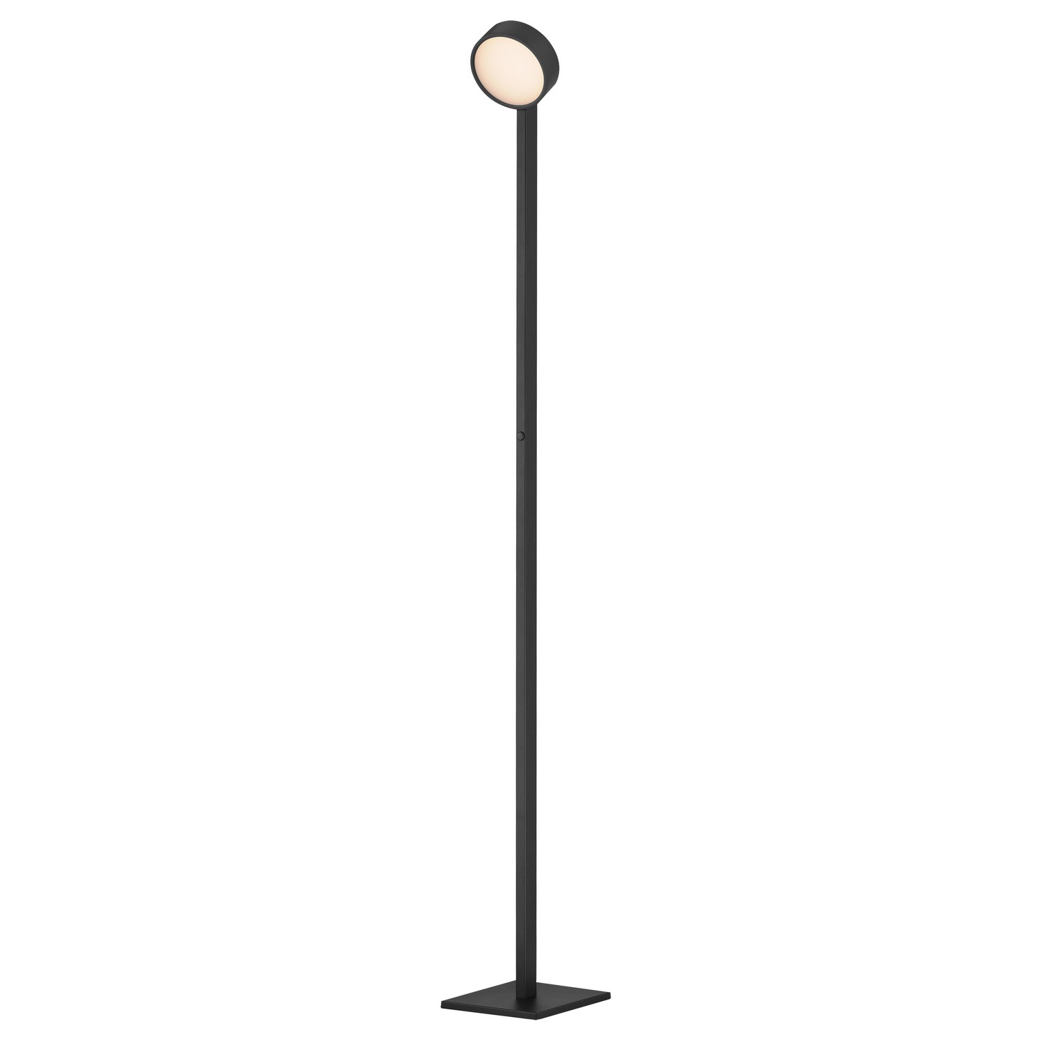 Black LED Floor Lamp from the Embrace Collection