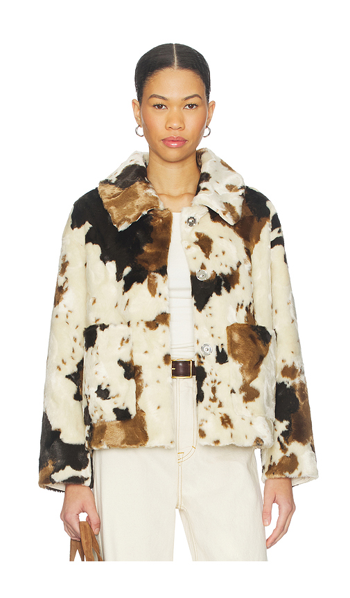 Jakke BLOUSON TRACI en Cream,Brown. L. Also en M