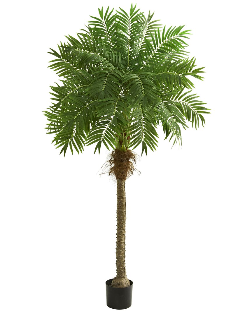 80In Robellini Palm Artificial Tree