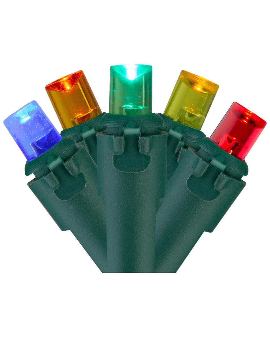 Northlight 200 Multi-Color LED Wide Angle Christmas Lights 49ft Green Wire