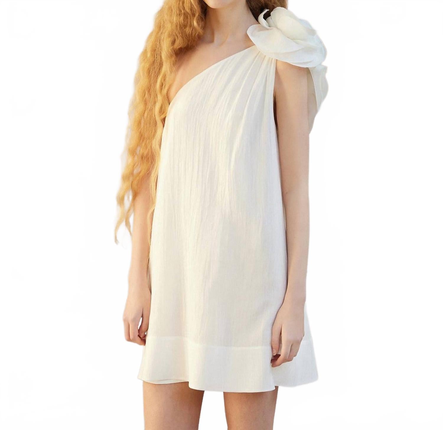 Poesie Mini Dress In White