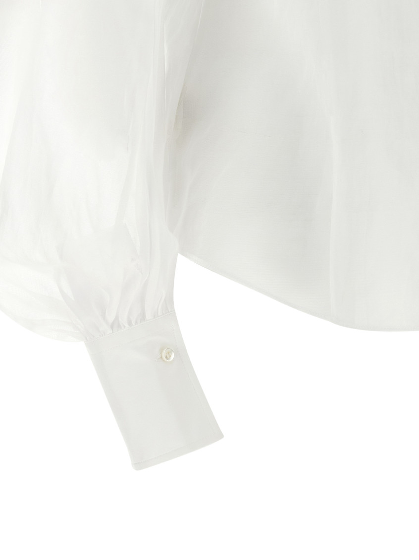 Lantern Sleeve Blouse