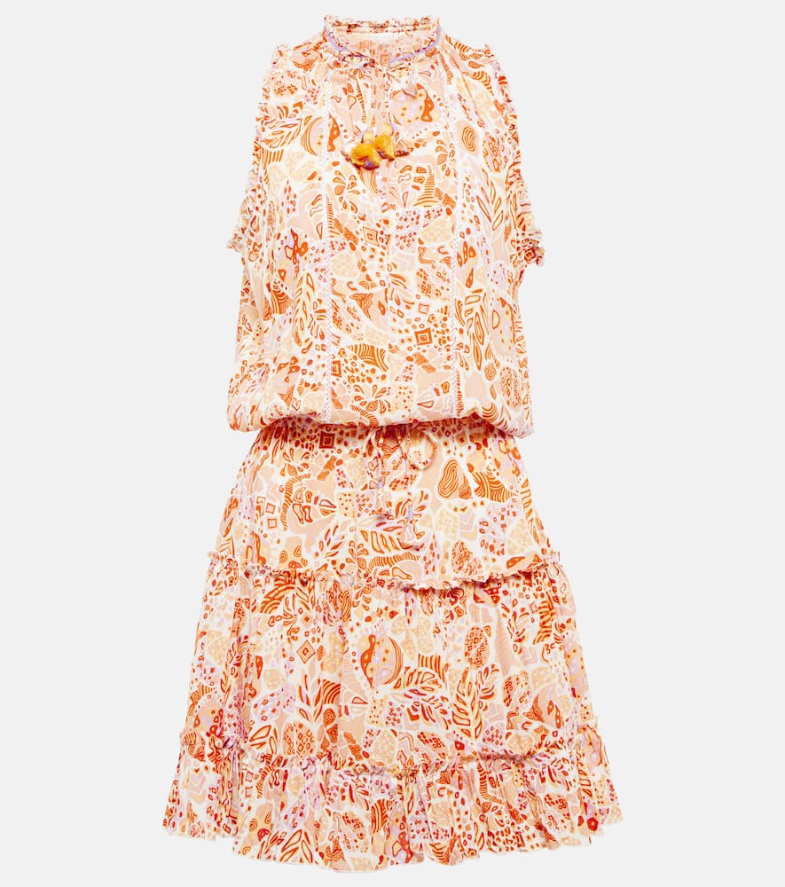 Clara printed minidress