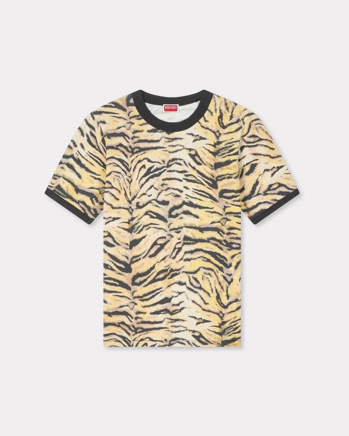 Classic Men's T-Shirt - SS26 Collection