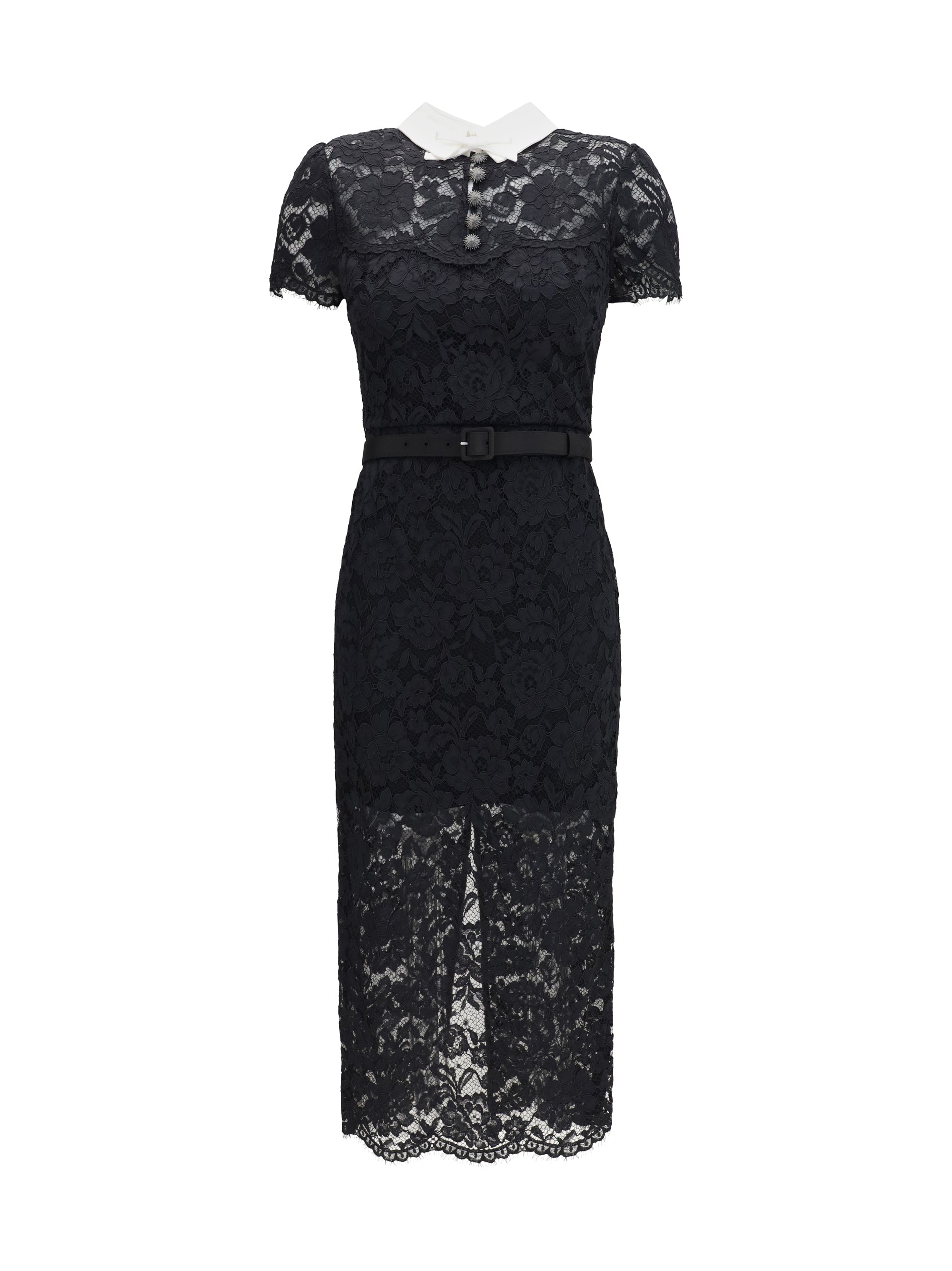 Lace Contrast Collar Dress — Black