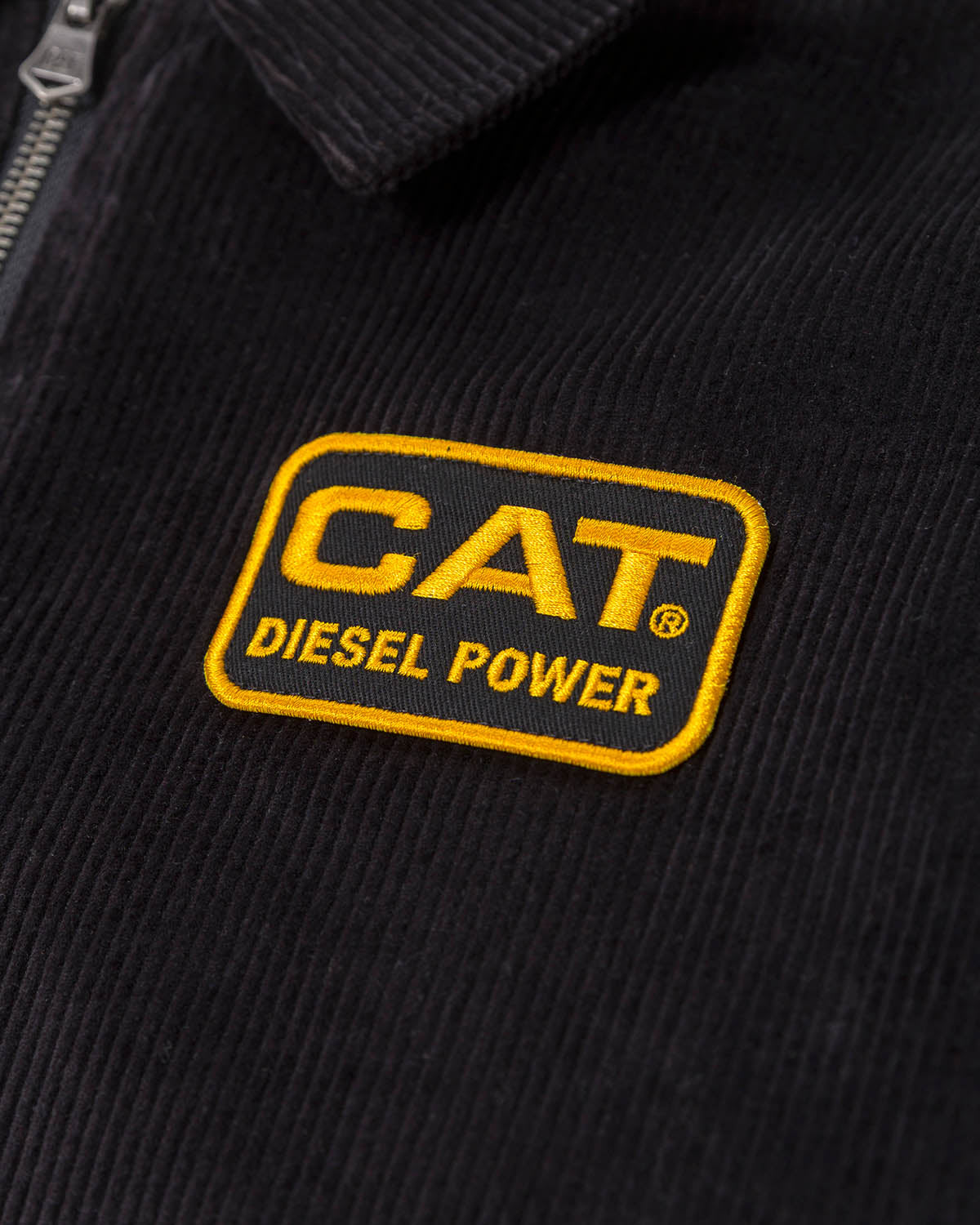 CORDUROY BOMBER JACKET CAT WWR DESIGNED BY AVERY RANCH