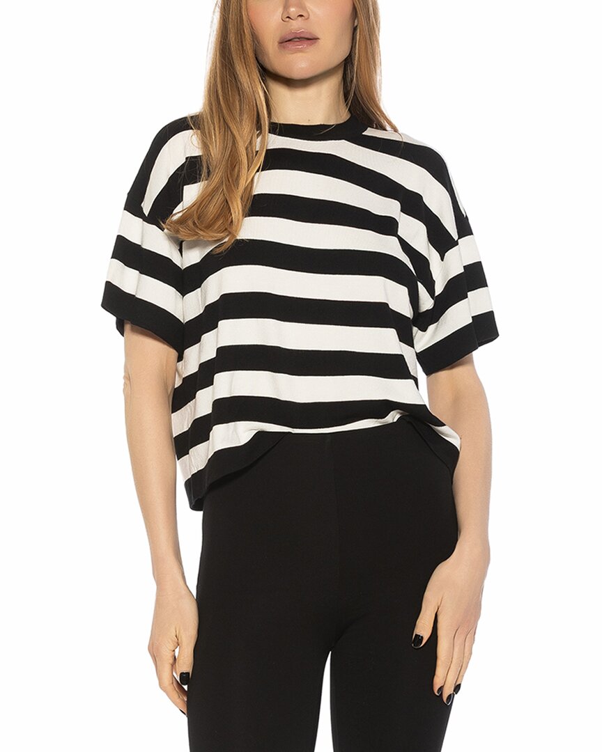 Remy Top