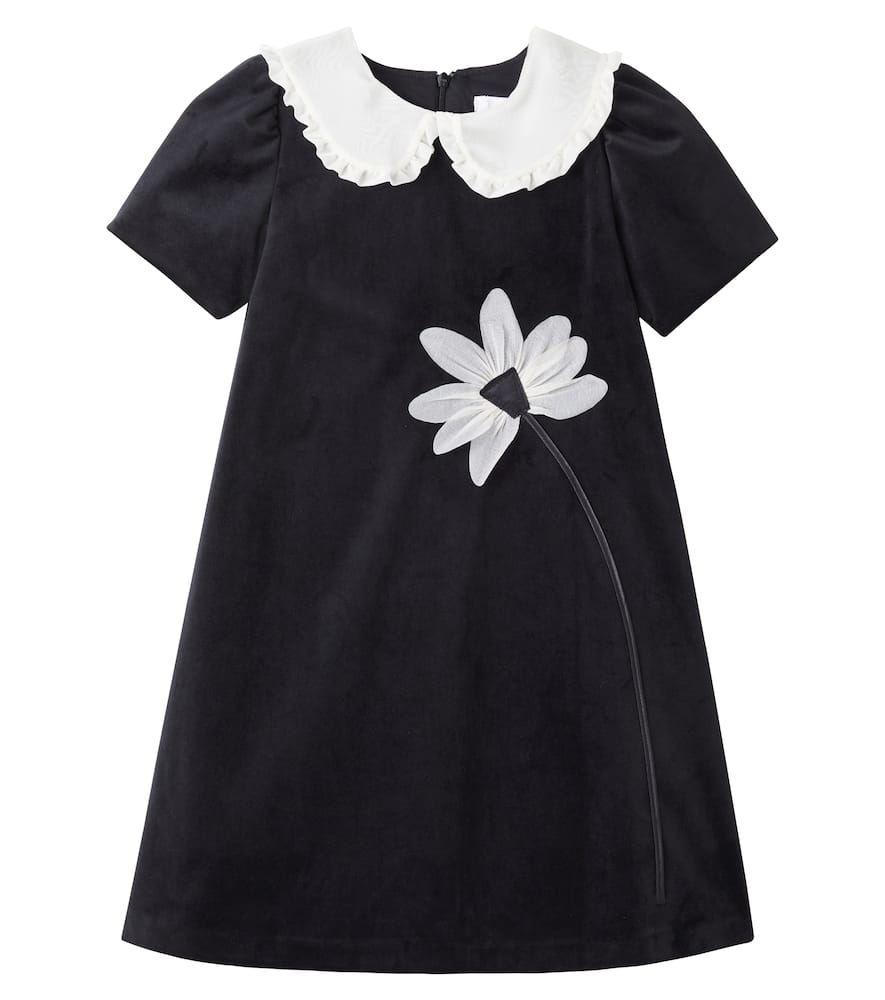 Embroidered lace-trimmed dress