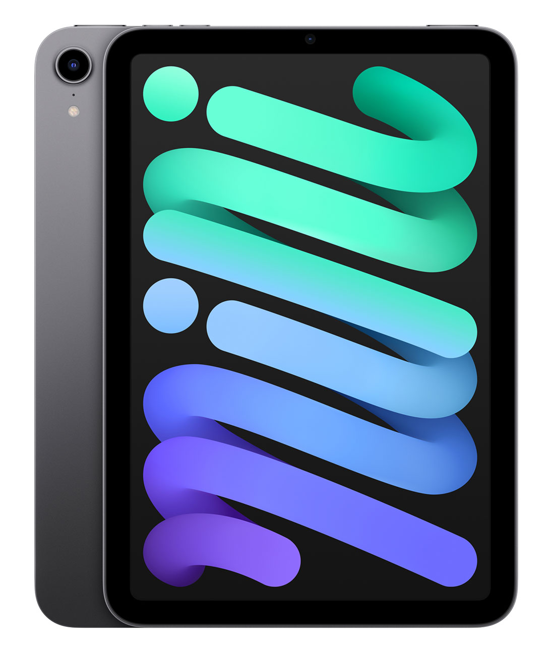 IPad mini 8.3-Inch 256GB Wi-Fi Space Gray (2021)
