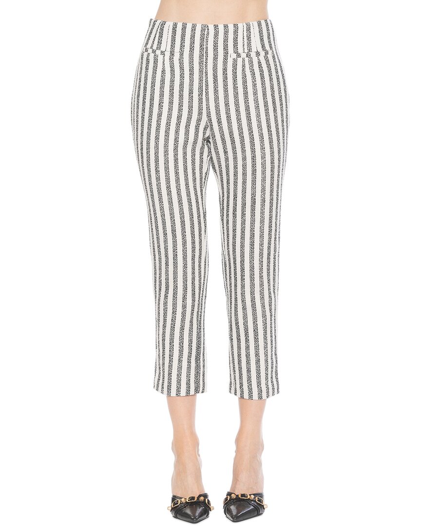 Clio Pant