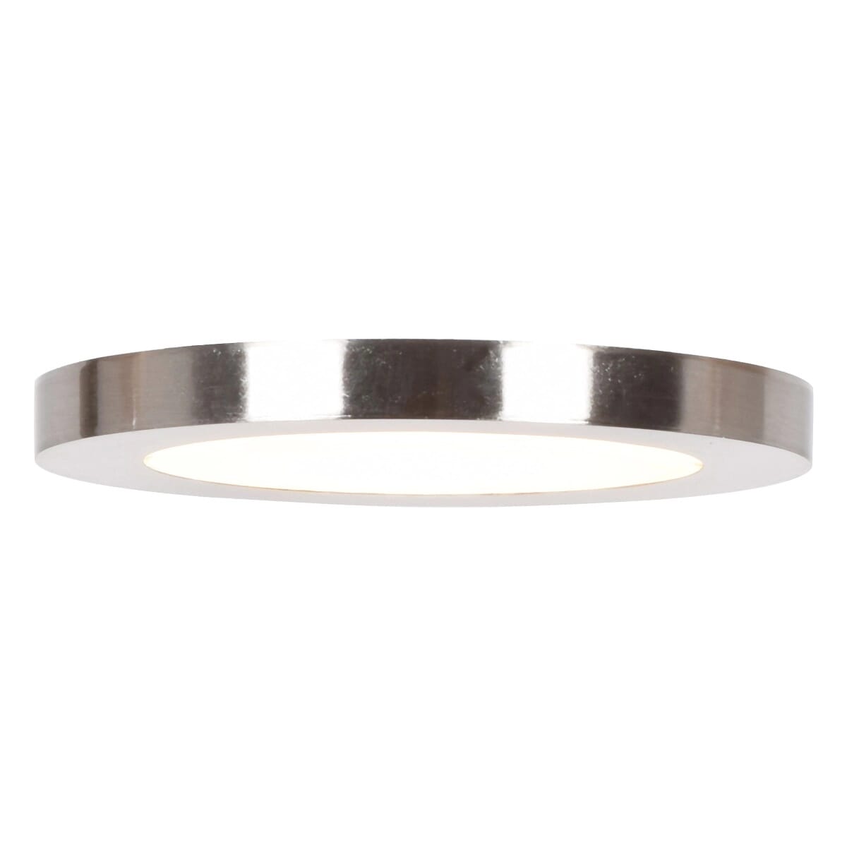 Access Disc Ceiling Light in Brushed Stee