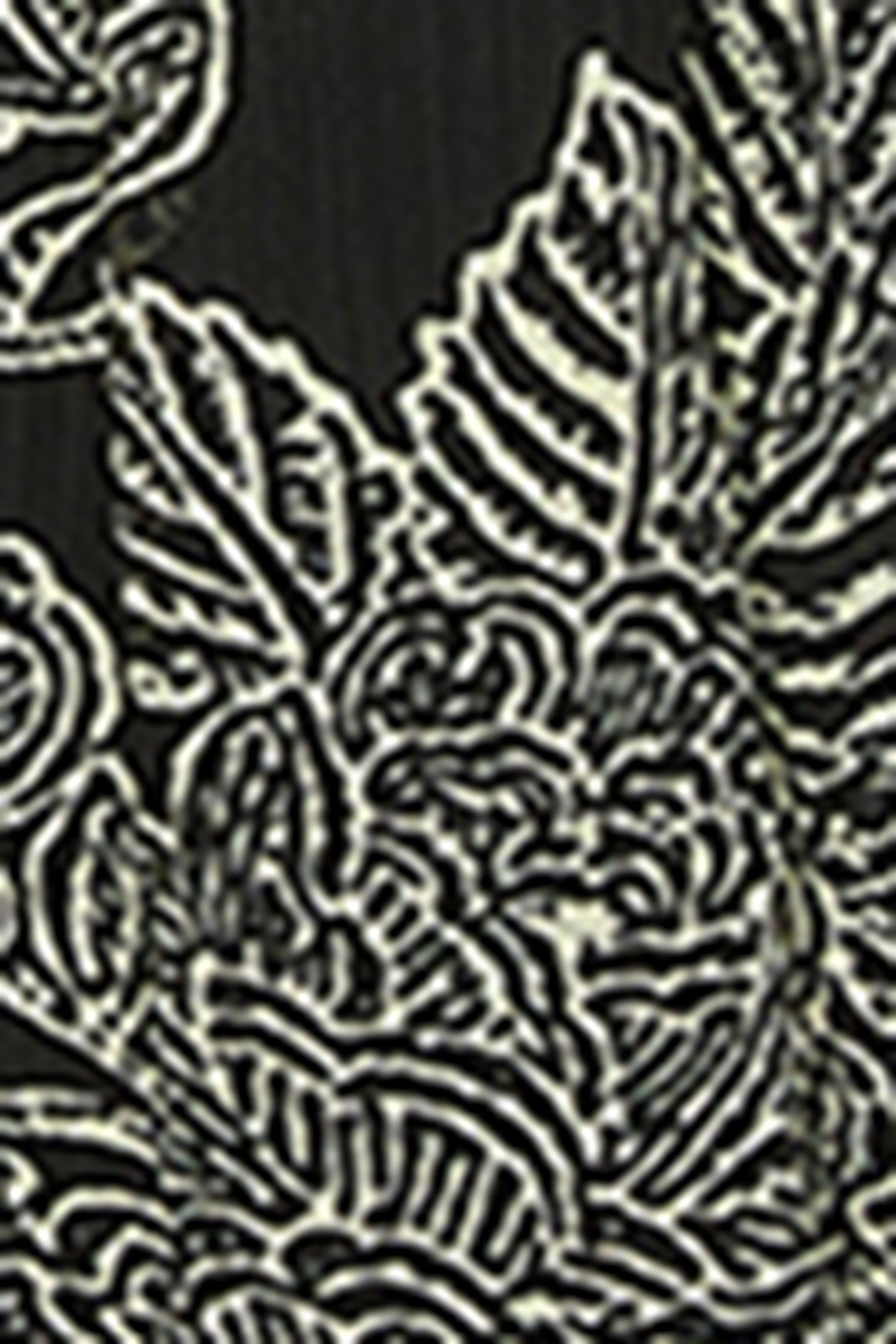 Vogue Printed Dress