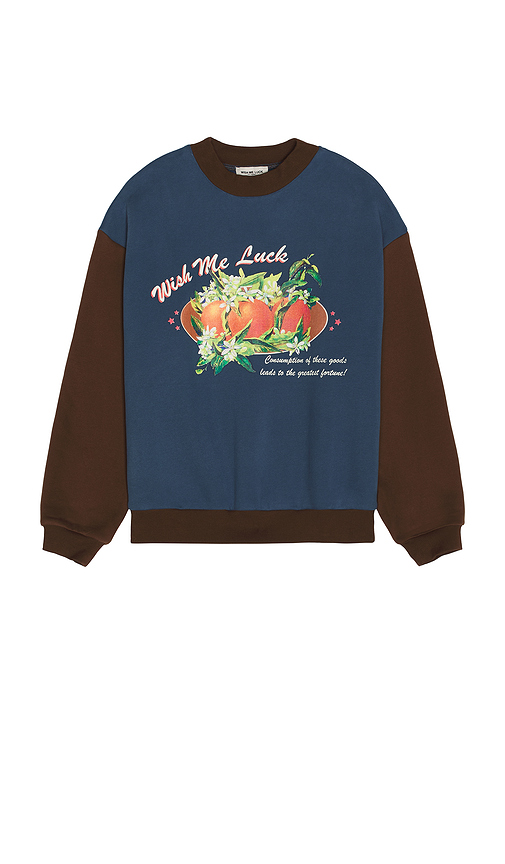Wish Me Luck Greatest Fortune Crewneck Sweater in Blue,Brown. M. Also in XS, XL/1X