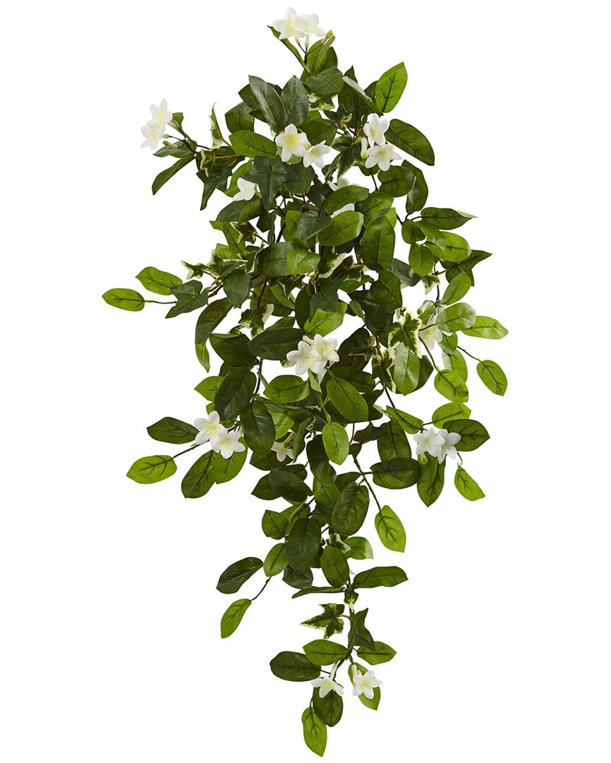 19In Mixed Stephanotis & Ivy Hanging Artificial Plant - Set Of 4