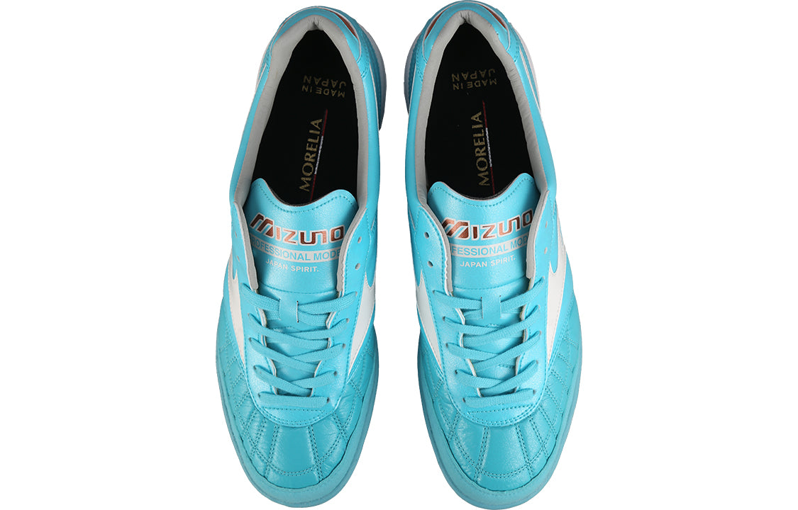 Morelia Sala Japan TF 'Blue White'