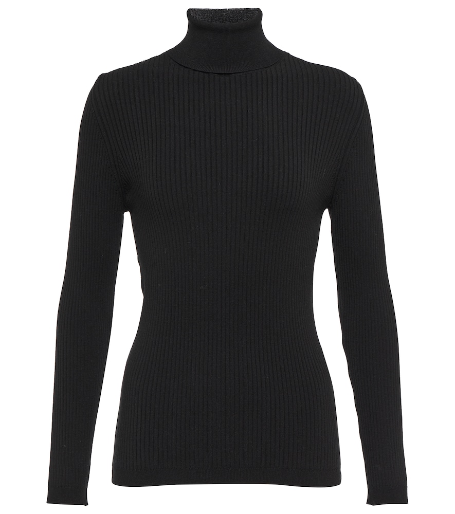 Ancelle turtleneck sweater
