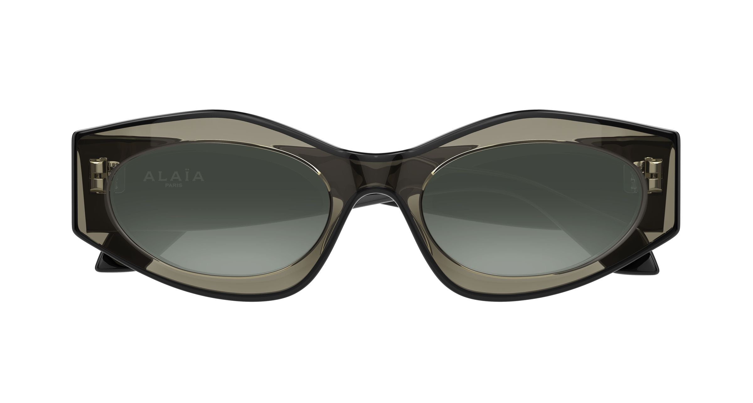 AZZEDINE ALAÏA Woman AZZEDINE ALAÏA AA0093S 004 Sunglasses Acetate Brown Grey Cat Eye