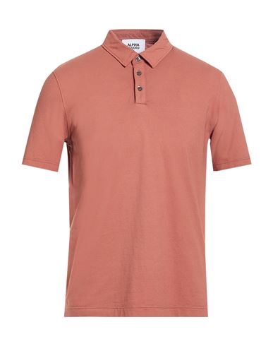 Man Polo shirt Brown Size 42 Cotton, Elastane
